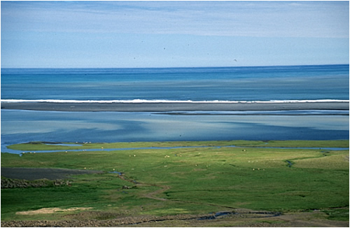 Mündungsdelta Jökulsá á Dal