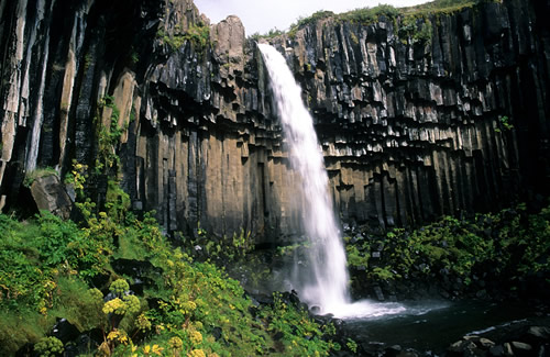 Svartifoss